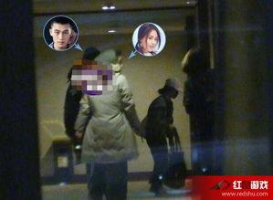 情人节爆料酒店视频播放,浪漫之夜背后的惊人真相