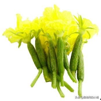 老外吃酸黄瓜视频,老外挑战本土酸黄瓜，滋味如何？