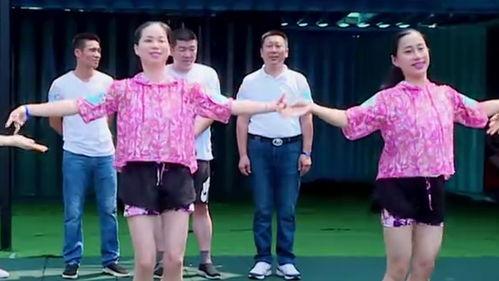 十手视频,揭秘科技前沿，畅游创新世界