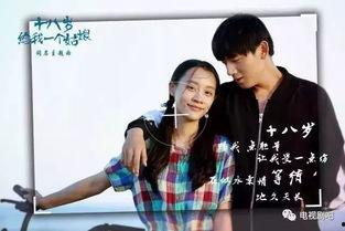 我的暑假电视剧在线播放