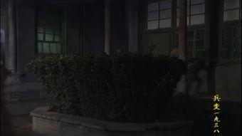 兵变36集在线播放