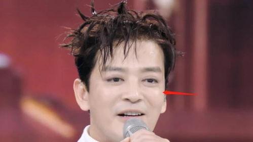 吃瓜鹅明星娱乐,揭秘娱乐圈幕后故事